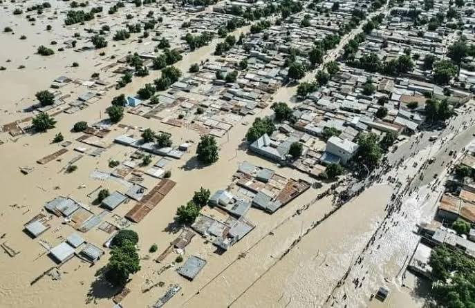Borno Govt approves 4-week extension for flood relief committee